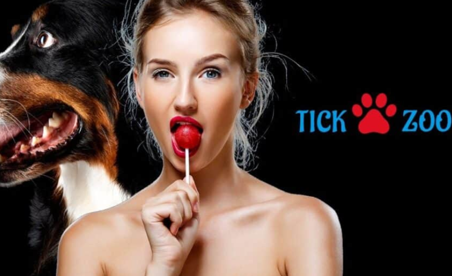 Exploring the Benefits and Drawbacks of TickZoo for Travel