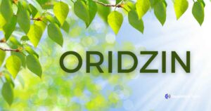 Oridzin: The Natural Superfood for a Healthier Lifestyle