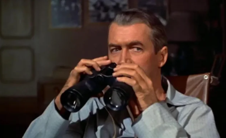 15 Thrilling Movies Like Rear Window You Should Watch